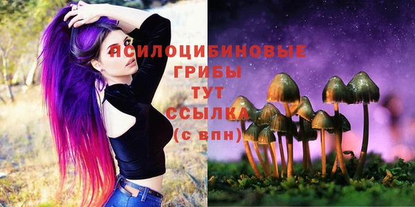 эйфоретик Абаза