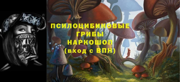 2c-b Абинск