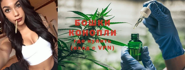 спиды Корсаков