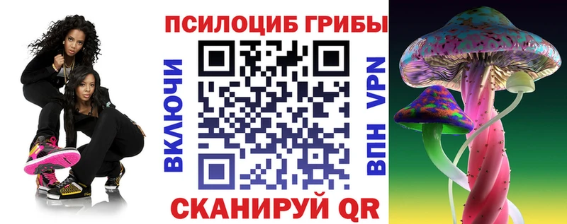 blacksprut ссылка  продажа наркотиков  Подольск  Псилоцибиновые грибы GOLDEN TEACHER 