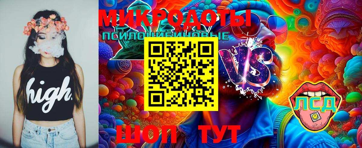 Псилоцибиновые грибы Magic Shrooms  Вход с VPN  цены   Подольск 